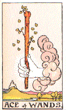 outcome outcome: Ace of Wands